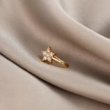 548324971_122250157844175415_2505413487866921712_n