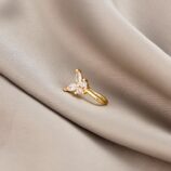 549565573_122250157856175415_8098459387537825554_n