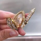 567944327_122254862246175415_6935673441524405317_n