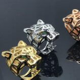 568189336_122255077784175415_7059121505609398441_n