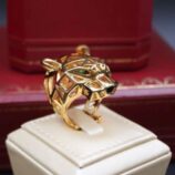 586049117_122259644288175415_787753371754642683_n (1)