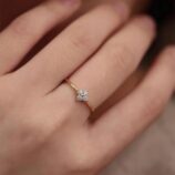 589210482_122260158776175415_2964573981473852711_n