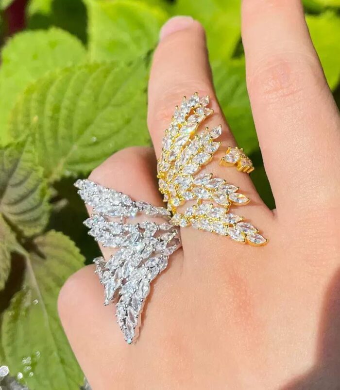 615564941_122268074138175415_8823372429492698985_n