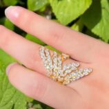 616588748_122268074144175415_8001375759482066699_n