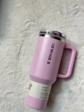 Stanley quencher Pro tour